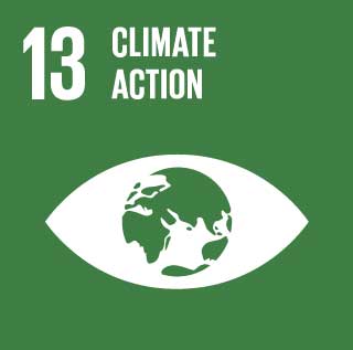 Goal 13 for Sustainability
